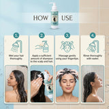 All In One Shampoo - 100ml | Control All Hair Problems